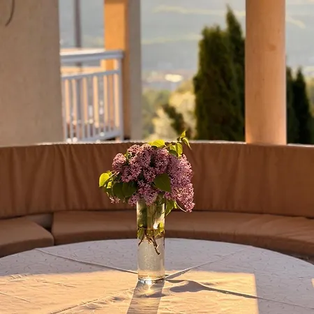 Rest 4 Bedrooms Vila Ilijas